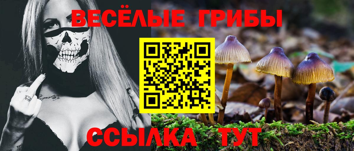 Псилоцибиновые грибы мицелий Кохма