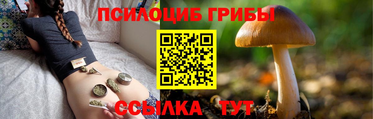 Кохма  Галлюциногенные грибы мицелий  Вход с VPN 